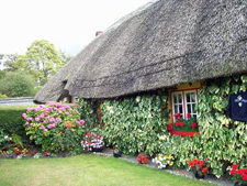 Ireland-Western Ireland-Discover Ireland South Walk